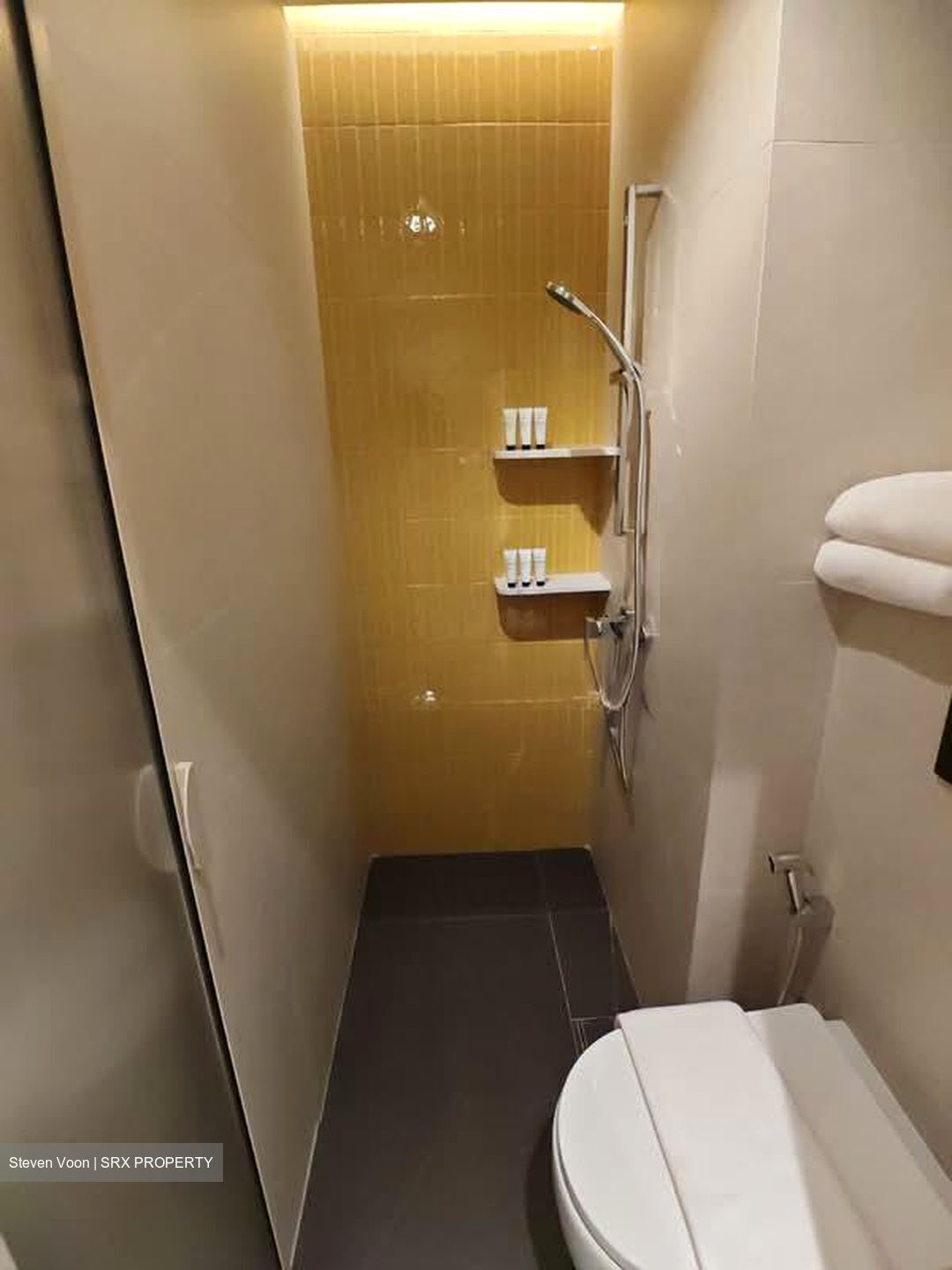 Coliwoo Midtown (D7), Apartment #531739281